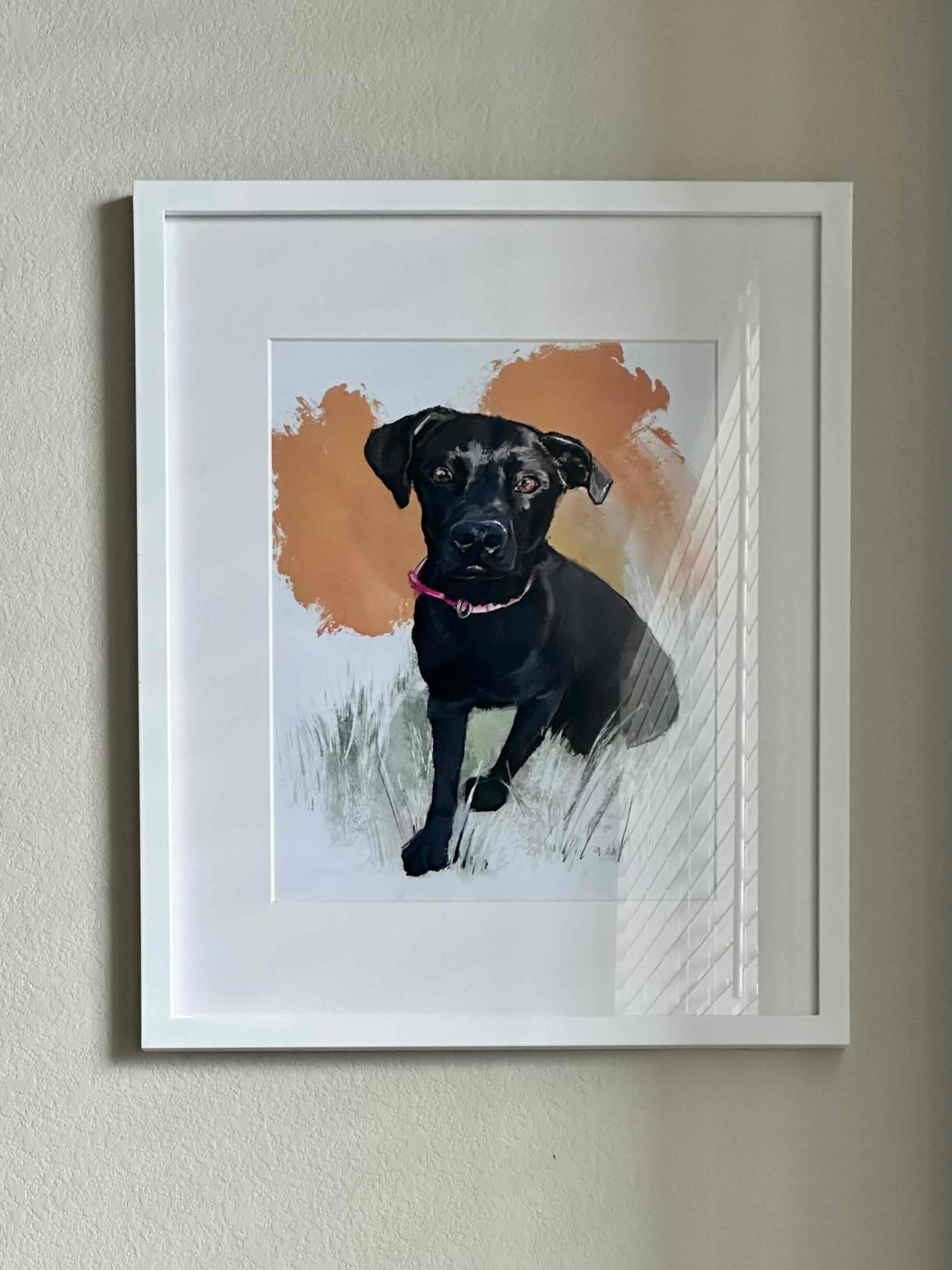 Gracie